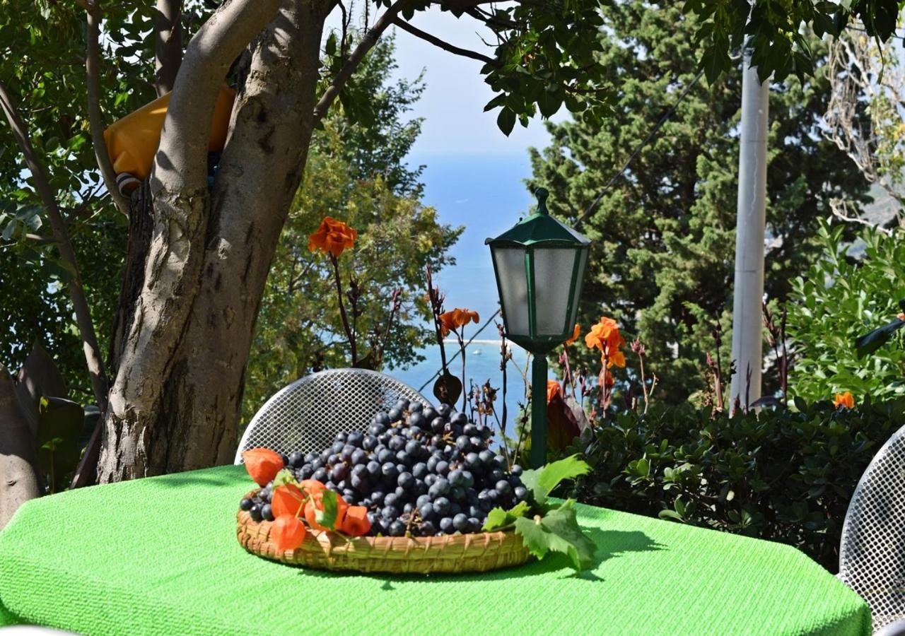 Apartment Ivana Borak Omiš Kültér fotó